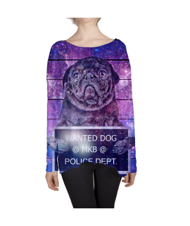Wanted Dog Oversize Sweater