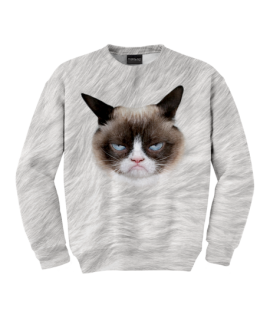 Bluza męska Grumpy cat